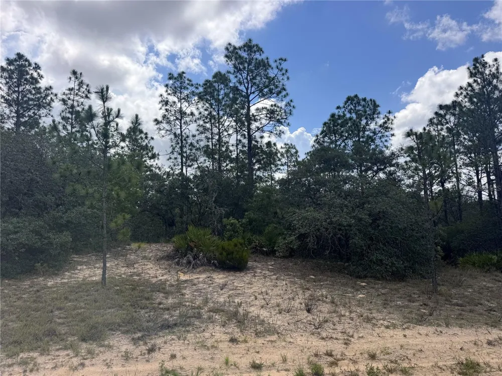 6601 AIRMONT DRIVE Citrus Springs, FL 34433