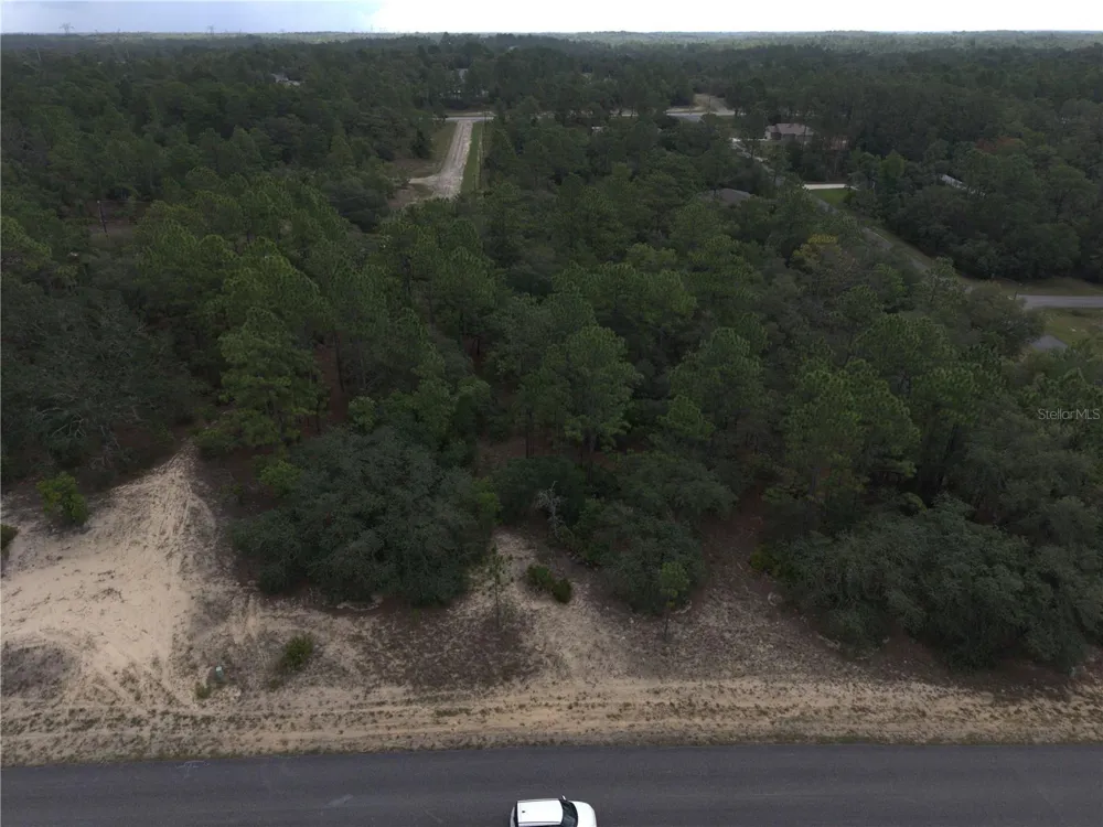 6601 AIRMONT DRIVE Citrus Springs, FL 34433