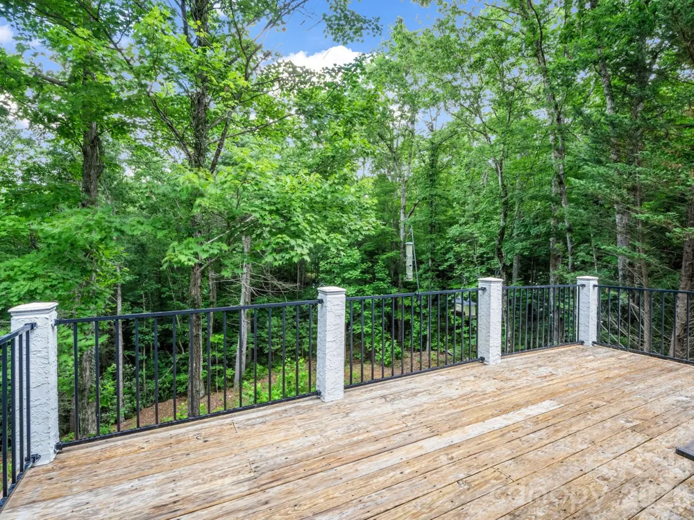 45 Brown Bear Ridge Trail Zirconia, NC 28790