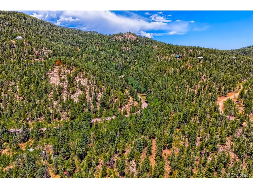 29821 Kings Vly E Conifer, CO 80433