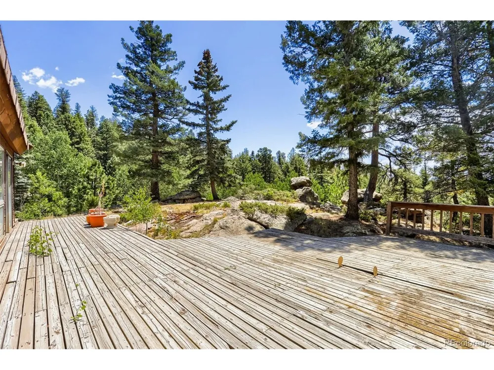 29821 Kings Vly E Conifer, CO 80433