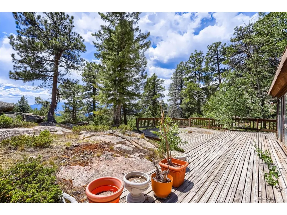 29821 Kings Vly E Conifer, CO 80433