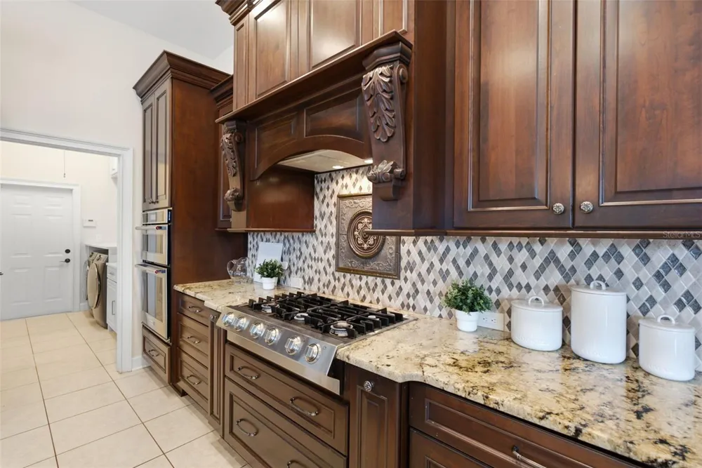 18655 AVENUE CAPRI Lutz, FL 33558