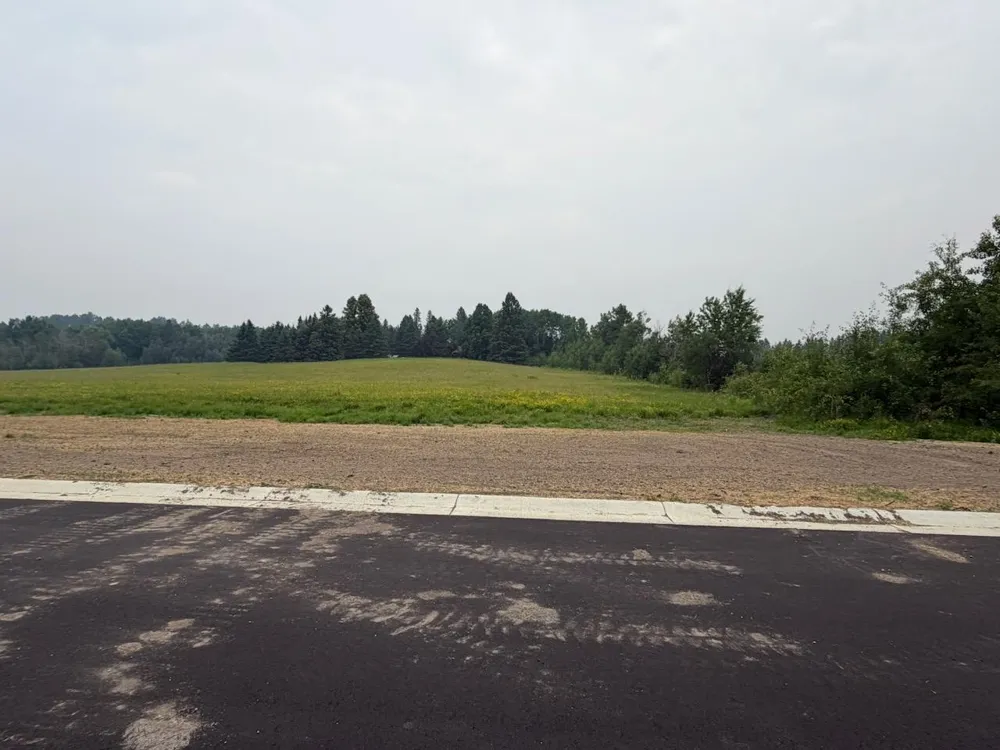 Lot 4, Block 1 Eldien Dr Cook, MN 55702