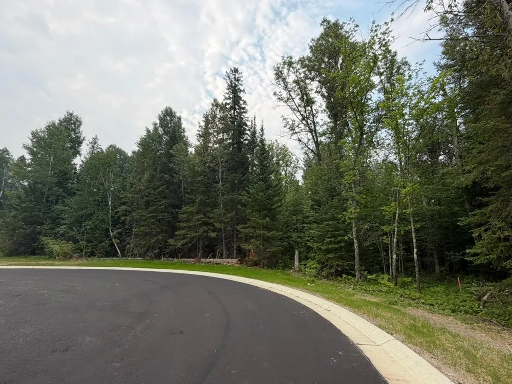 Lot 1, Block 2 Edien Dr Cook, MN 55723