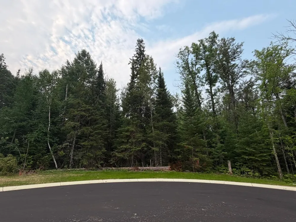 Lot 1, Block 2 Edien Dr Cook, MN 55723