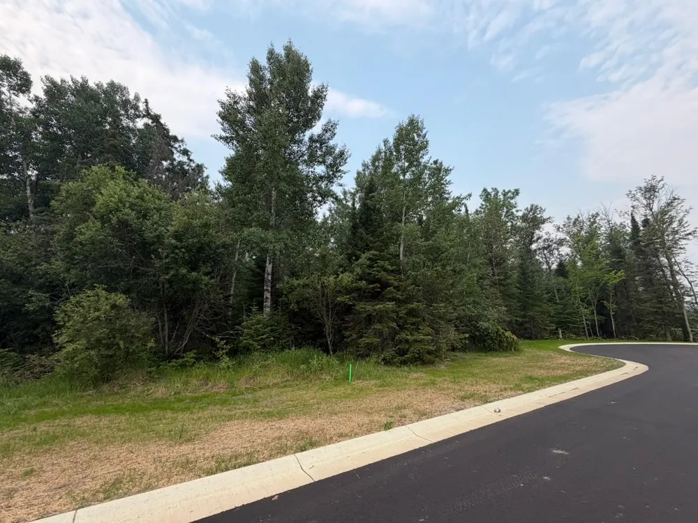Lot 1, Block 2 Edien Dr Cook, MN 55723