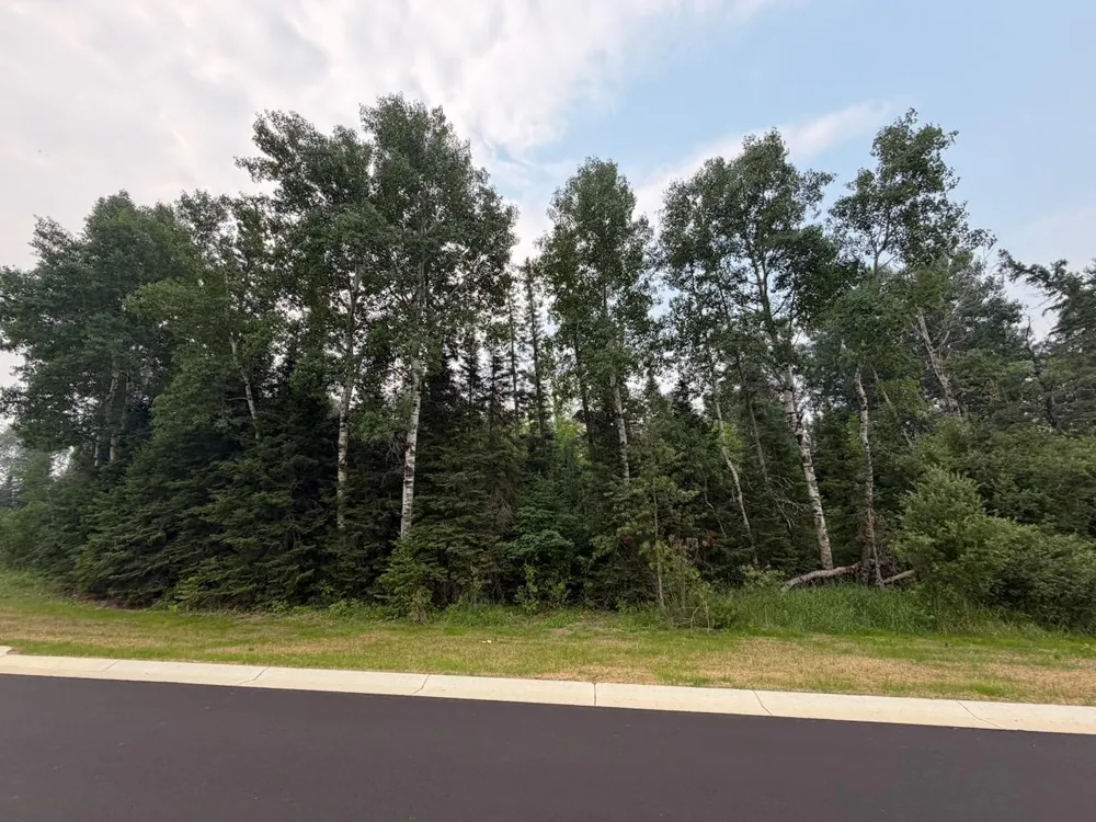 Lot 2, Block 2 Eldien Dr Cook, MN 55723