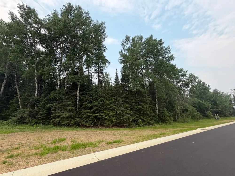 Lot 2, Block 2 Eldien Dr Cook, MN 55723