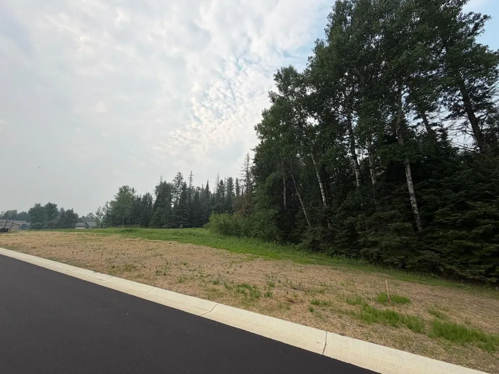 Lot 3, Block 2 Eldien Dr Cook, MN 55723