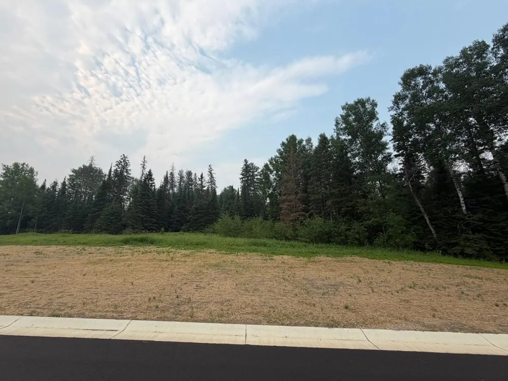 Lot 3, Block 2 Eldien Dr Cook, MN 55723