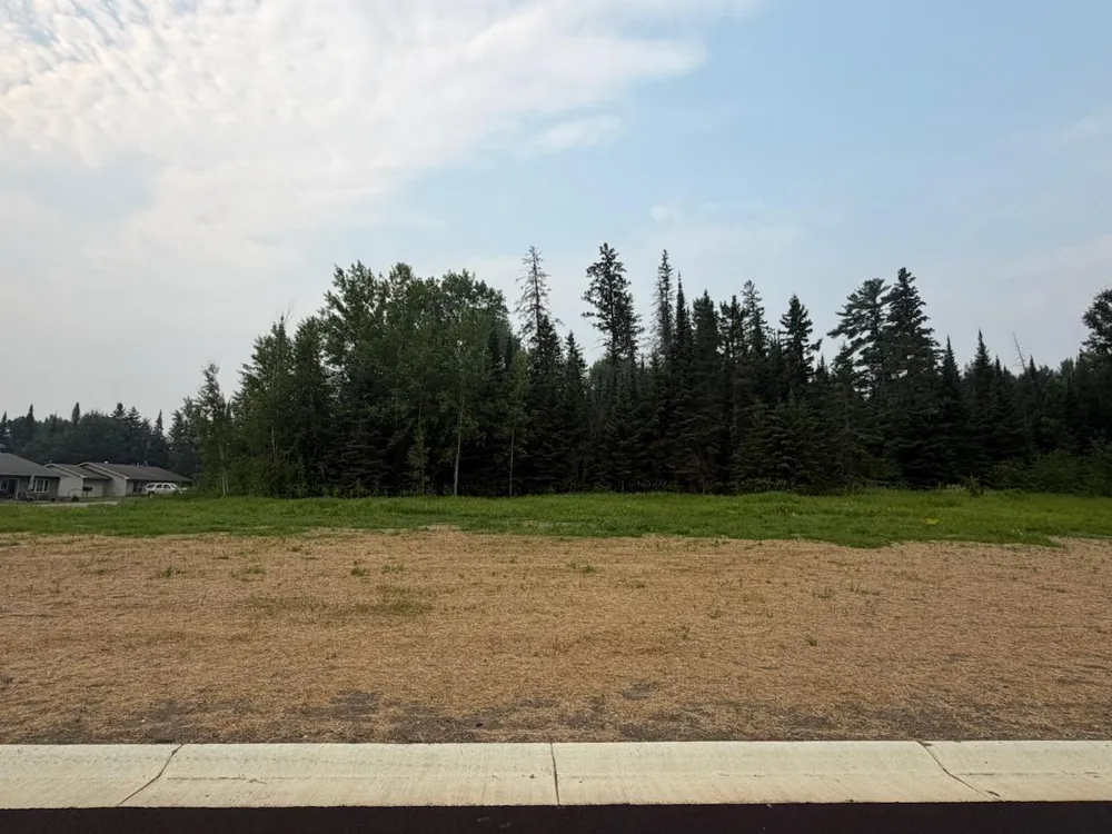 Lot 4, Block 2 Eldien Dr Cook, MN 55723