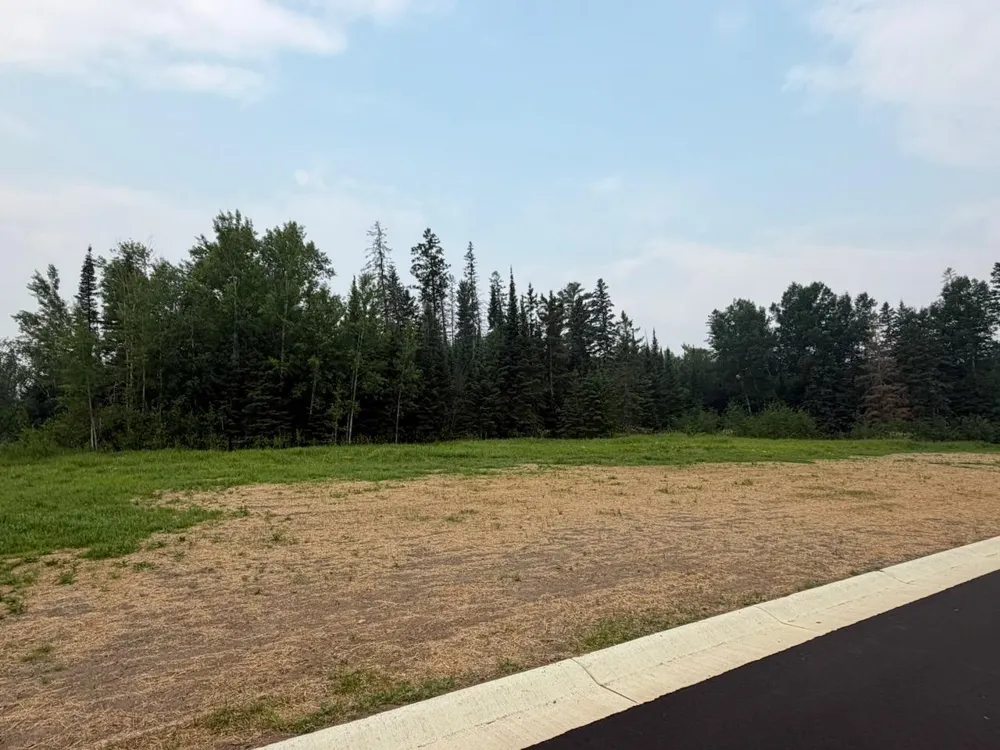 Lot 4, Block 2 Eldien Dr Cook, MN 55723