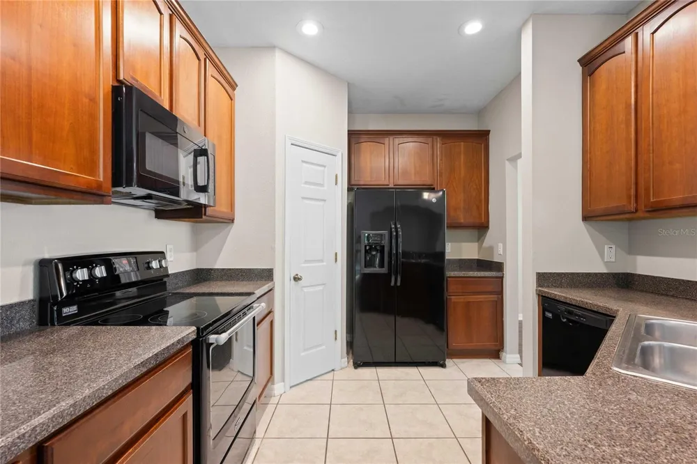 27627 PLEASURE RIDE LOOP Wesley Chapel, FL 33544