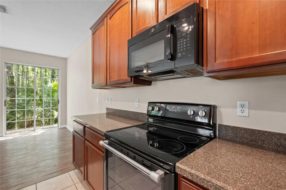 27627 PLEASURE RIDE LOOP Wesley Chapel, FL 33544