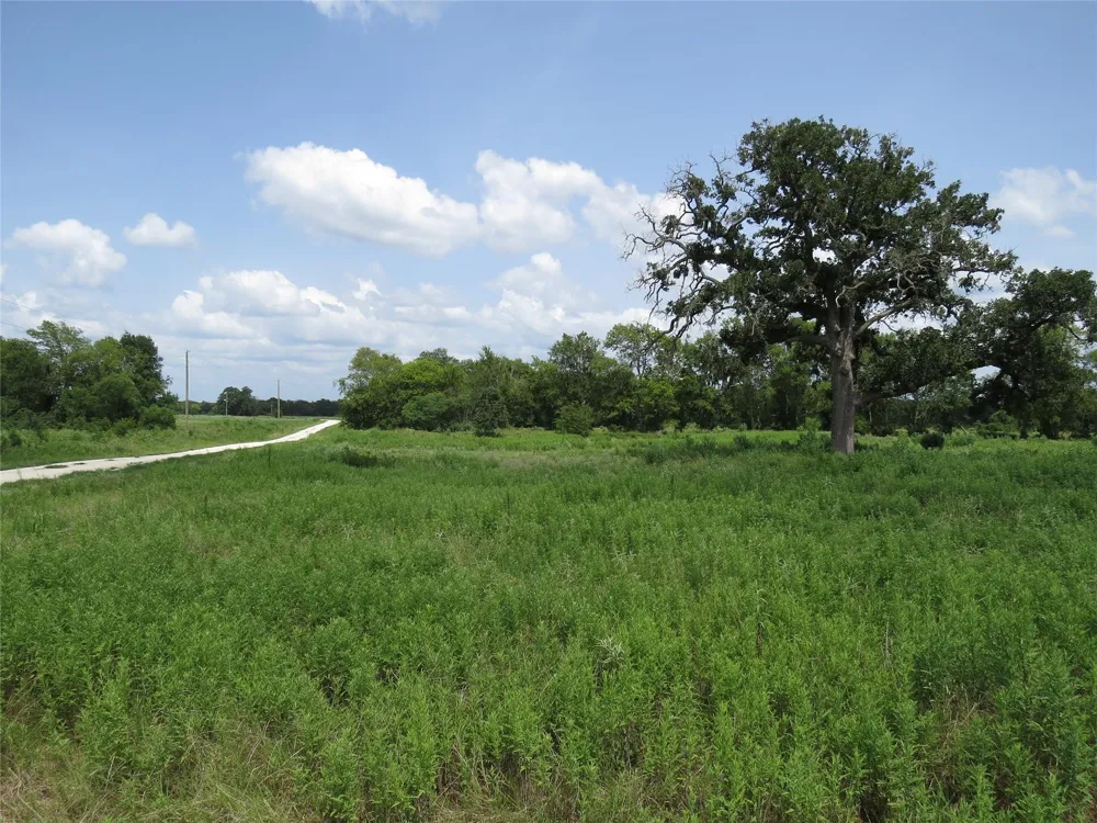 Southfield Ct Lovelady, TX 75851