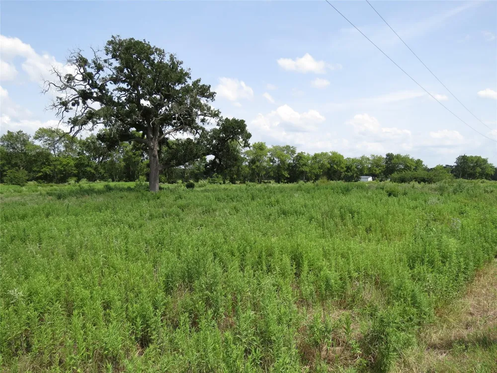Southfield Ct Lovelady, TX 75851