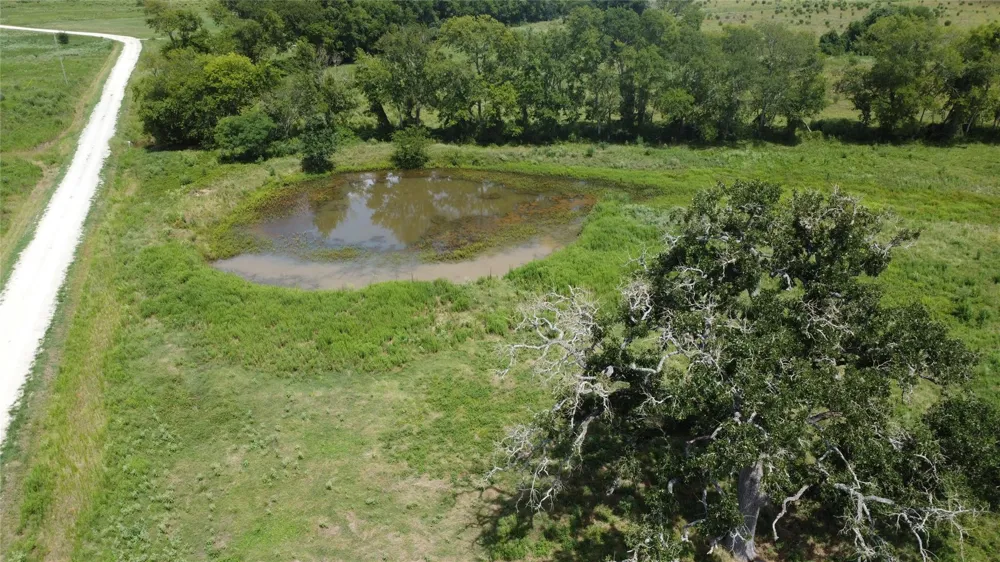 Southfield Ct Lovelady, TX 75851