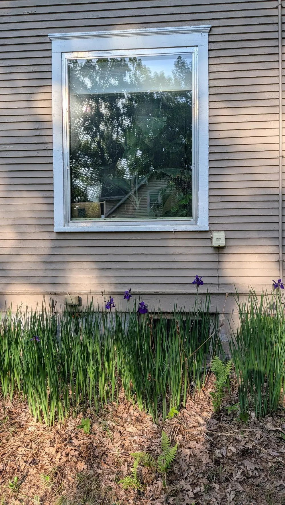 1001 13th Street SE Menomonie, WI 54751