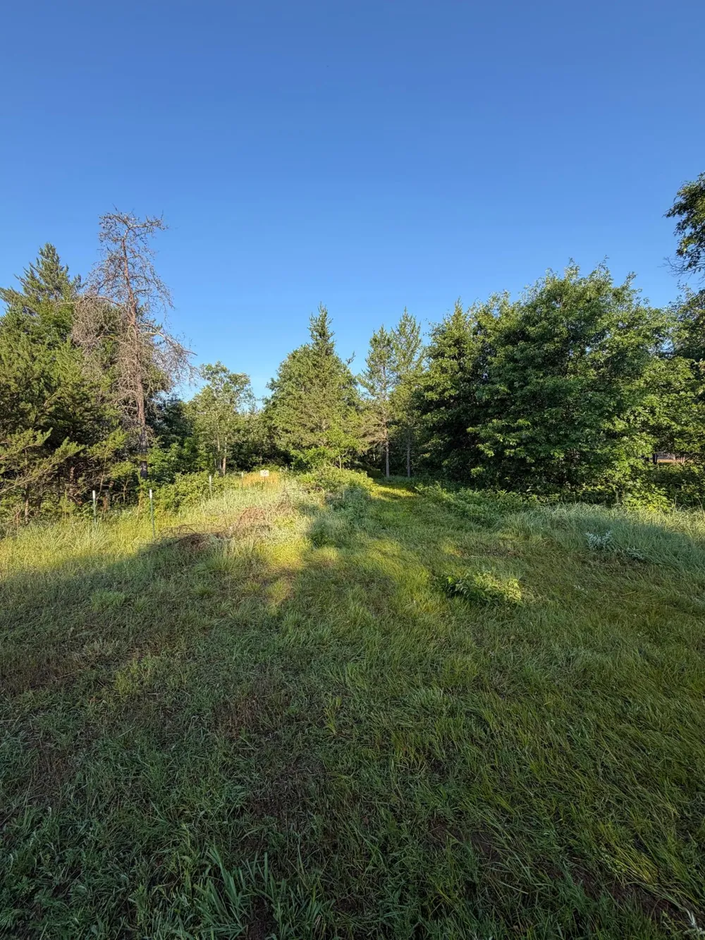 xxxxx Volkmann Lane Grantsburg, WI 54840