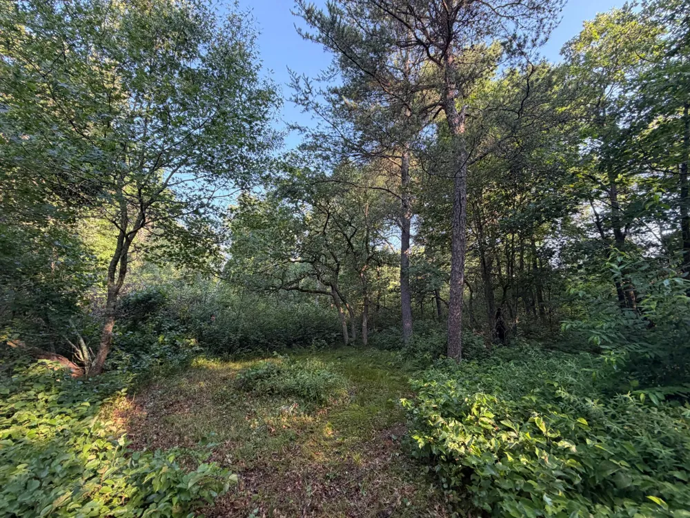 xxxxx Volkmann Lane Grantsburg, WI 54840