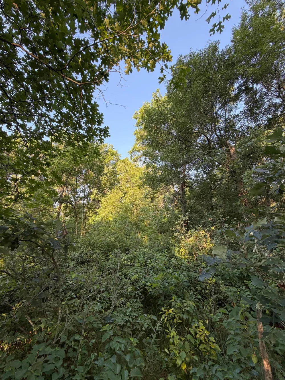 xxxxx Volkmann Lane Grantsburg, WI 54840