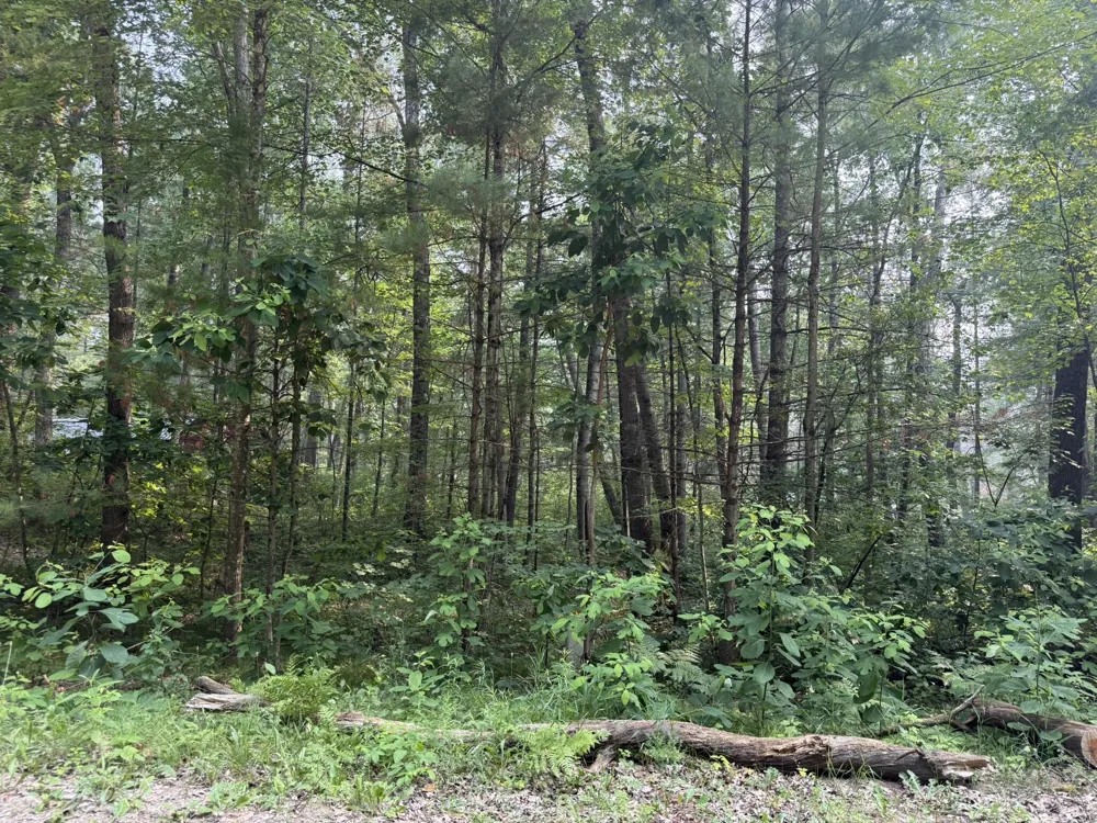 2095 W Wilderness Way Baldwin, MI 49304