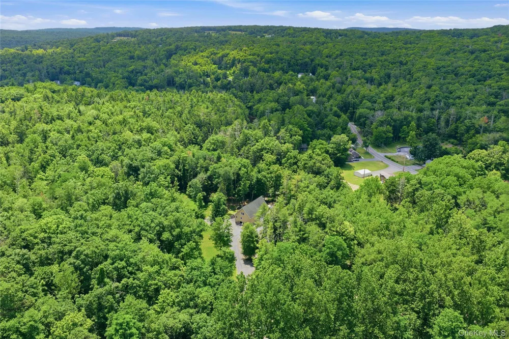 302 Powder Mill Bridge Road Kingston, NY 12401