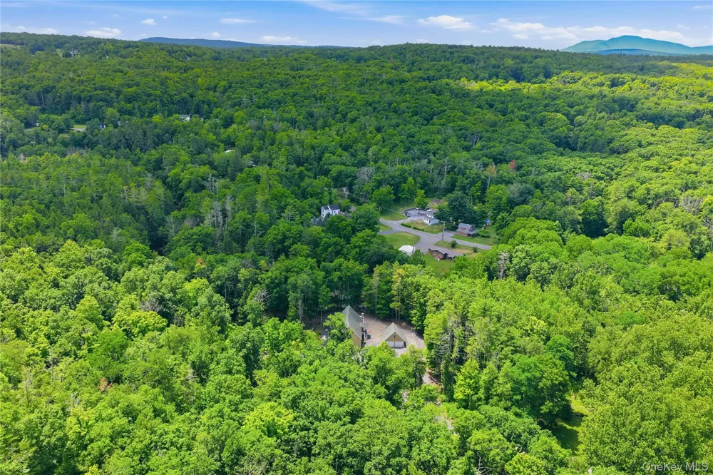 302 Powder Mill Bridge Road Kingston, NY 12401