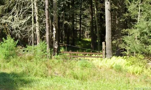 2199 State Route 42