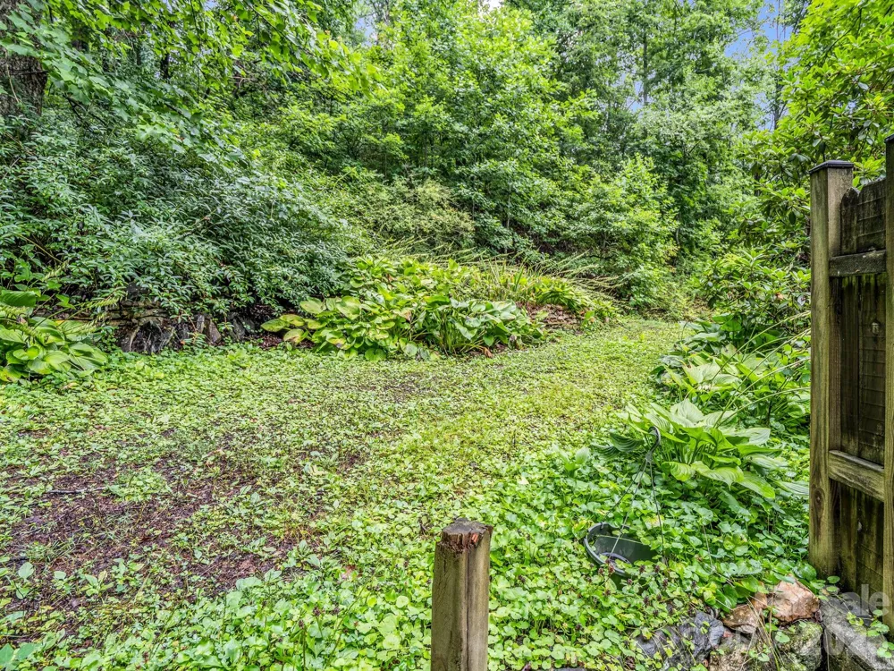103 Maplewood Lane Marion, NC 28752