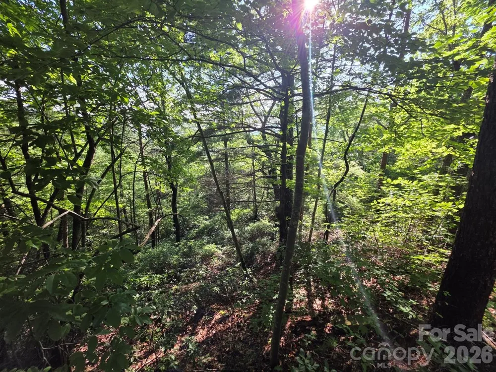 Lot 72 Fawn Lane Marion, NC 28752