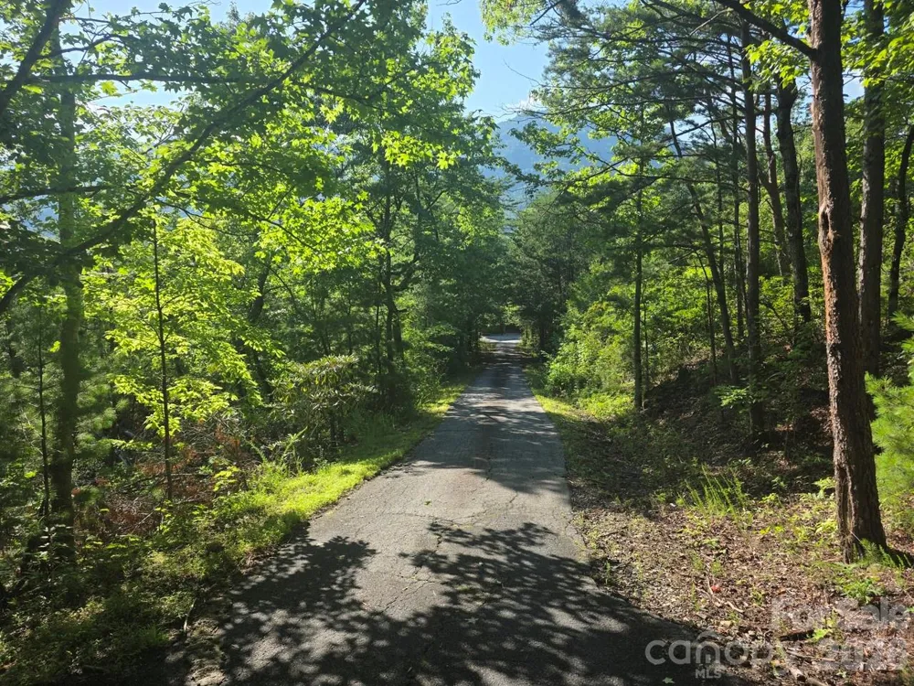 Lot 72 Fawn Lane Marion, NC 28752