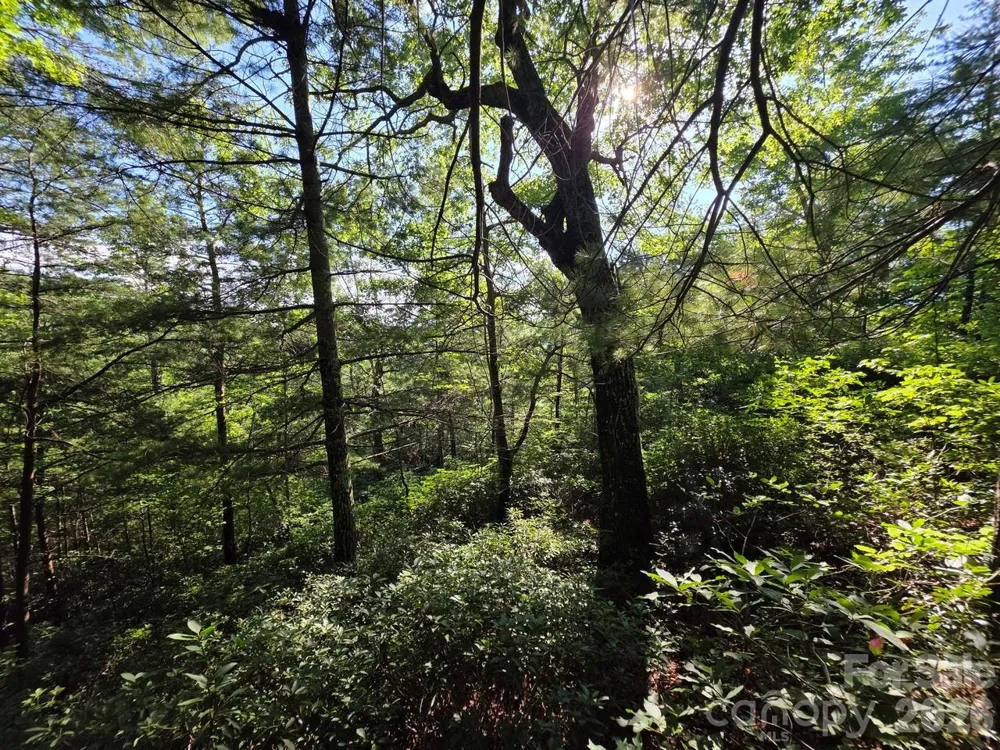 Lot 72 Fawn Lane Marion, NC 28752