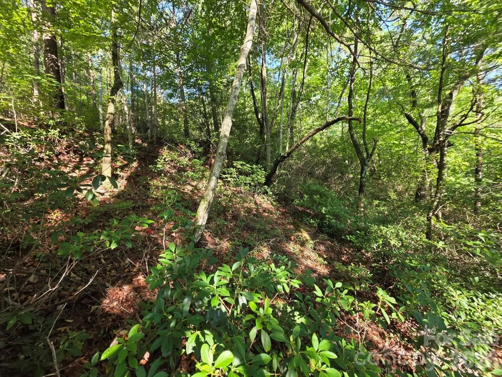 Lot 72 Fawn Lane Marion, NC 28752