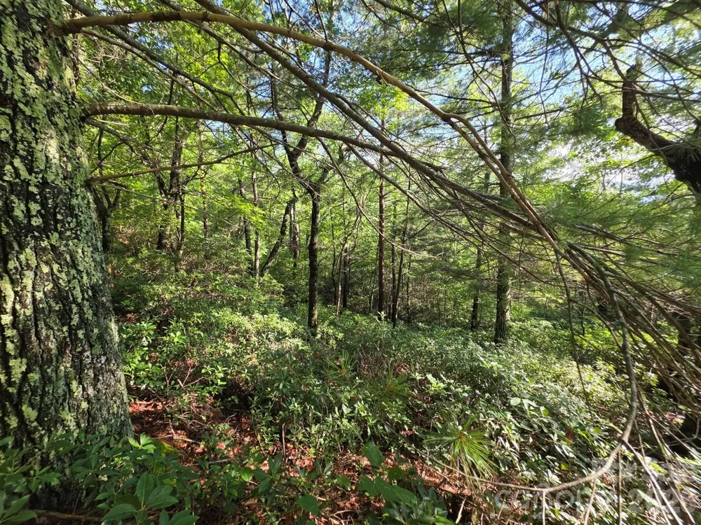 Lot 72 Fawn Lane Marion, NC 28752