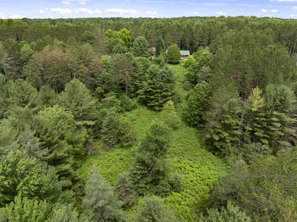 19603 Cinder Road Interlochen, MI 49643