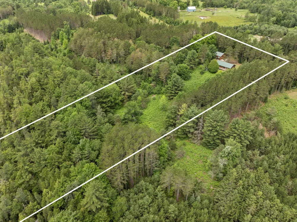 19603 Cinder Road Interlochen, MI 49643