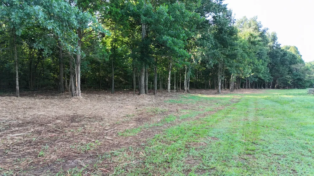161 Hopkins Bridge Rd Unionville, TN 37180