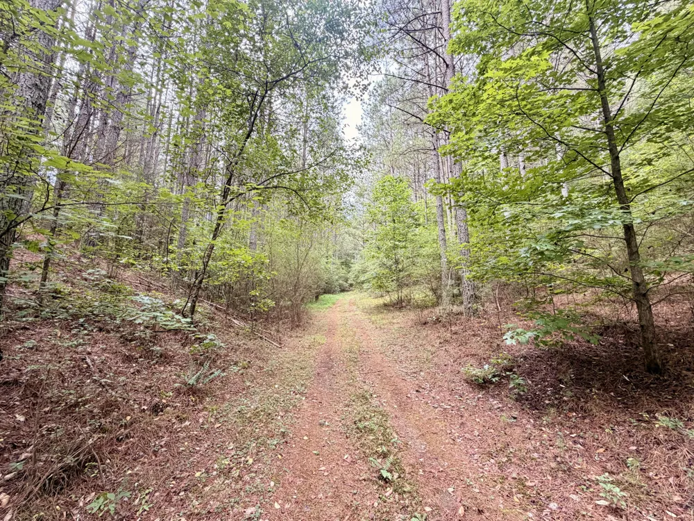 847 Eads Bluff Road NW Georgetown, TN 37336