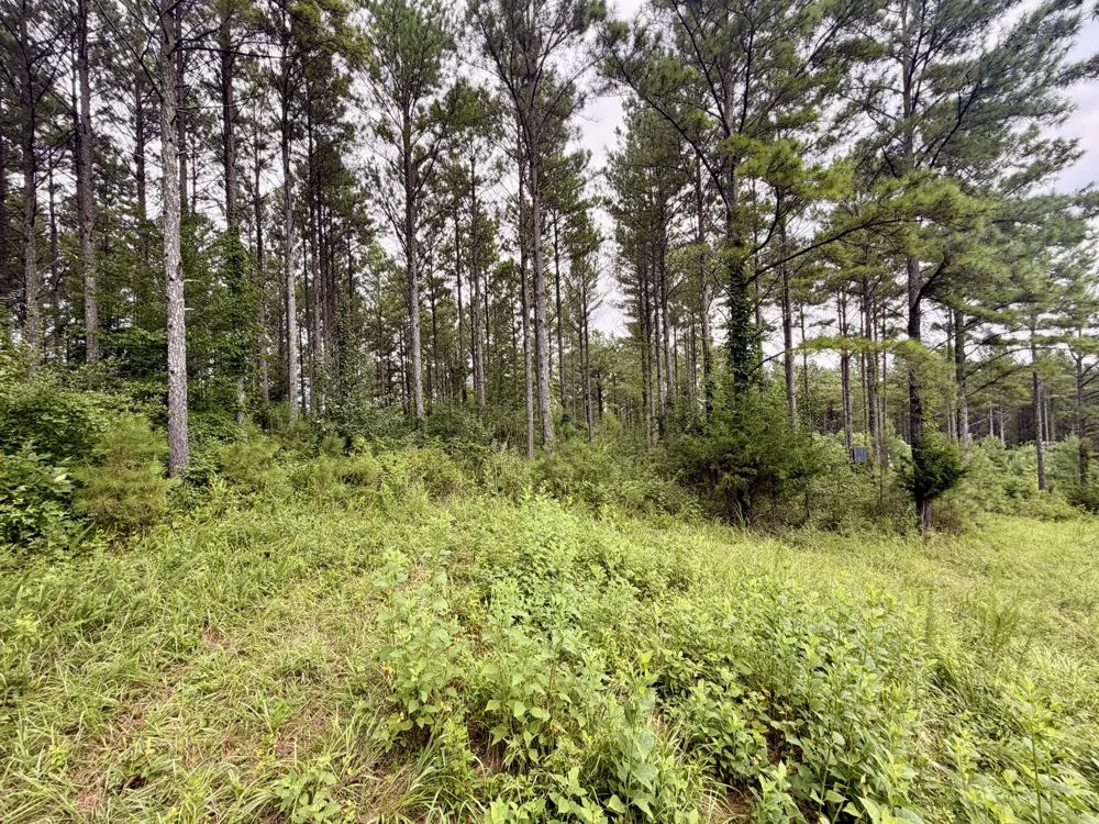 847 Eads Bluff Road NW Georgetown, TN 37336