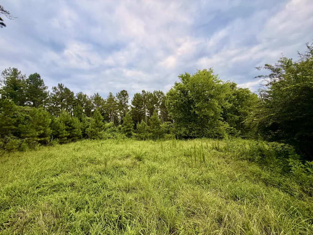 847 Eads Bluff Road NW Georgetown, TN 37336