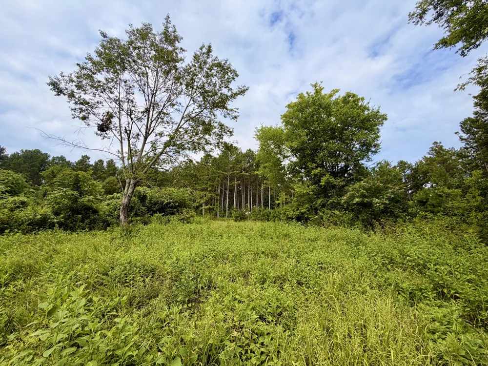 847 Eads Bluff Road NW Georgetown, TN 37336