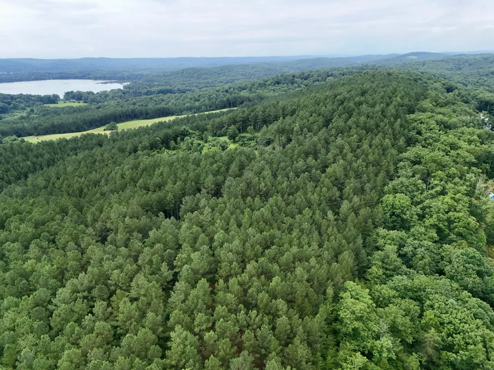 847 Eads Bluff Road NW Georgetown, TN 37336