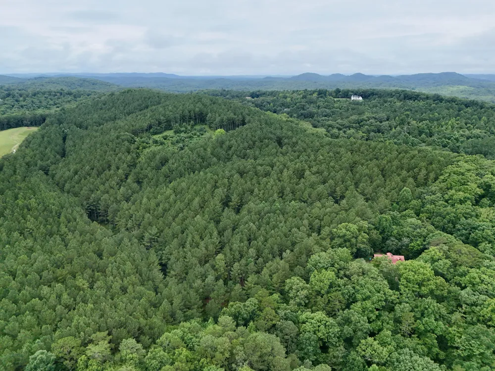 847 Eads Bluff Road NW Georgetown, TN 37336