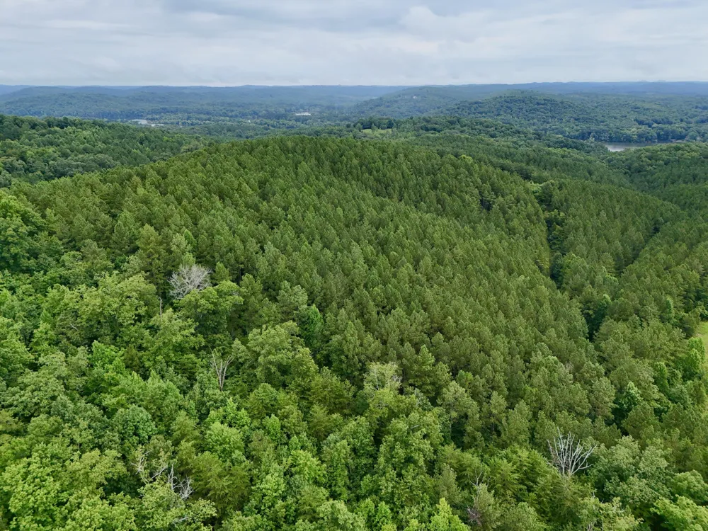 847 Eads Bluff Road NW Georgetown, TN 37336
