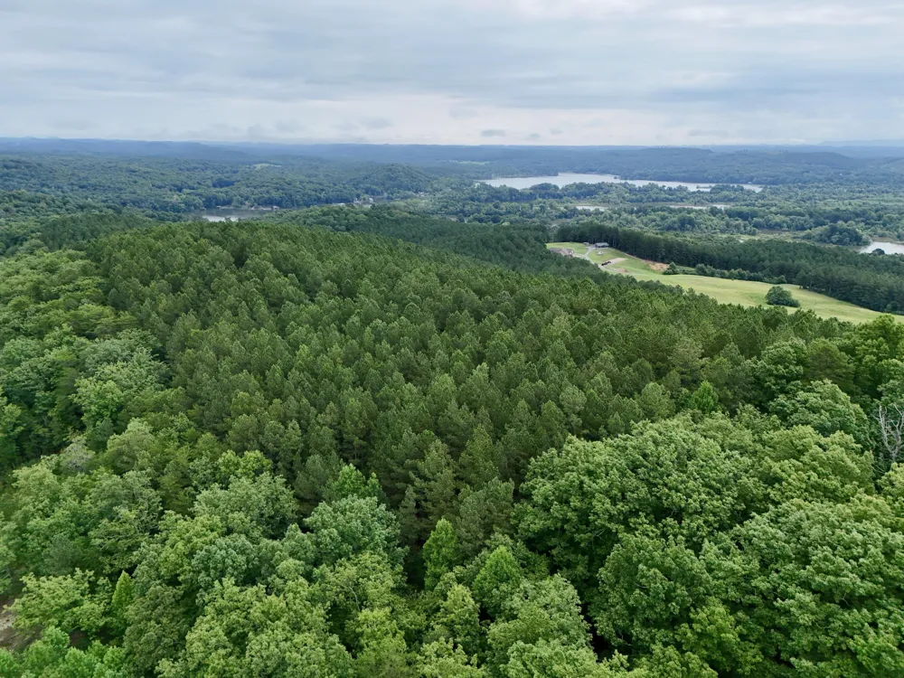 847 Eads Bluff Road NW Georgetown, TN 37336