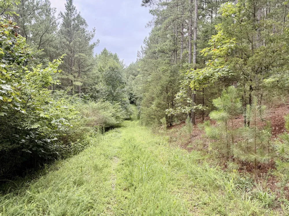 847 Eads Bluff Road NW Georgetown, TN 37336