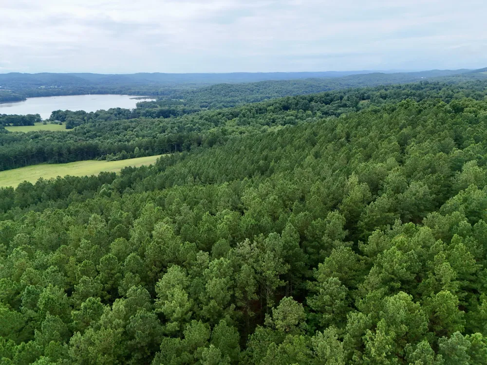 847 Eads Bluff Road NW Georgetown, TN 37336