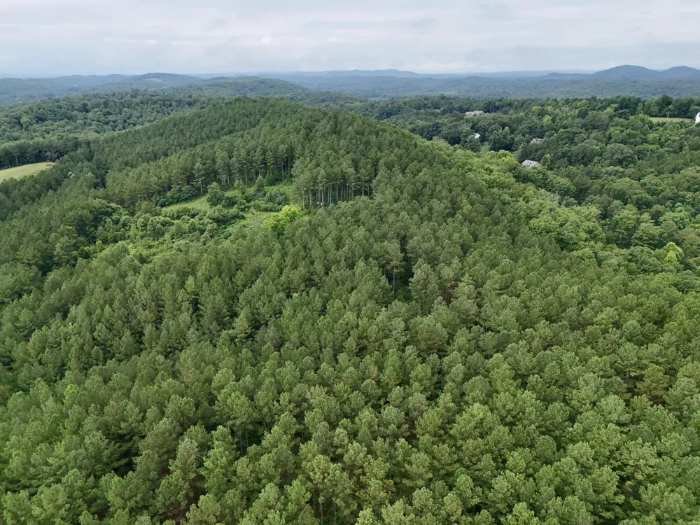 847 Eads Bluff Road NW Georgetown, TN 37336